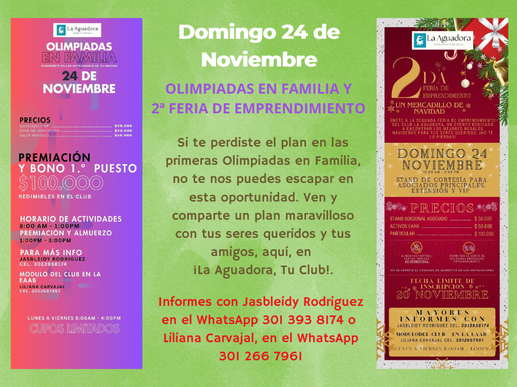 24-nov